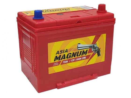 Аккумулятор автомобильный Magnum 75Ah 640A (о.п.)